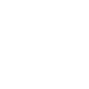 RunwayIcon
